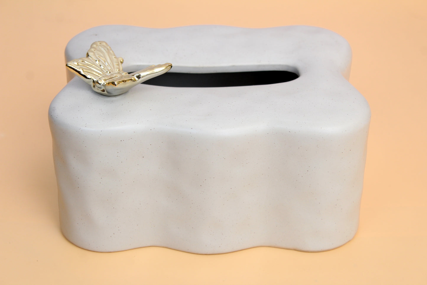 Ceramic tissue box